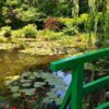 What’s Blooming in Monet’s Garden: June