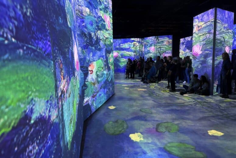 5 Fascinating Facts About Monet’s Water Lilies